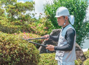 植木の剪定のイメージ。本部サイト掲載写真
